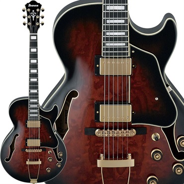 Ibanez Artcore Expressionist AG95QA-DBS ｜イケベ楽器店