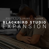 DRUMS Blackbird Studios Drums EXPANSION【SSD5拡張音源】(オンライン納品専用)【代引不可】