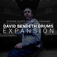 David Bendeth Drums EXPANSION【SSD5拡張音源】(オンライン納品専用)※代金引換はご利用頂けません。