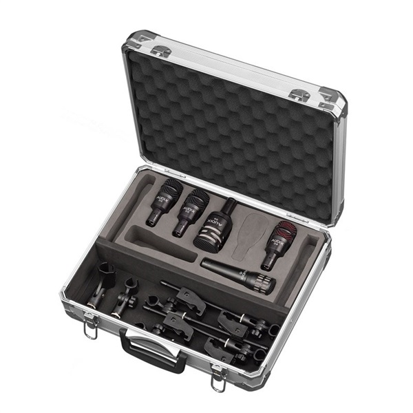 AUDIX DP5a