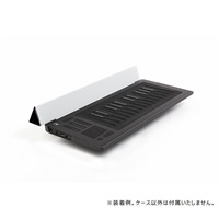 RISE 25 Flip Case - Silver