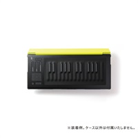 RISE 25 Flip Case - Lime