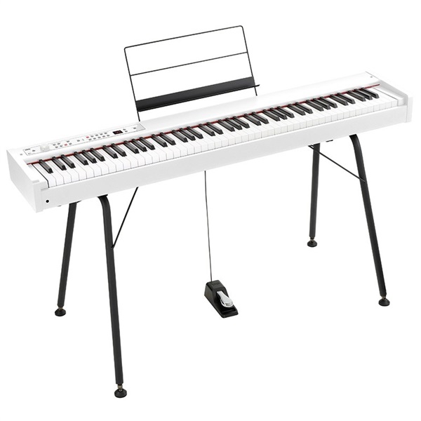 KORG (台数限定特典・純正ピアノダストカバーDC-P1付)DIGITAL PIANO D1 