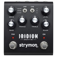 【アンプSPECIAL SALE】Iridium