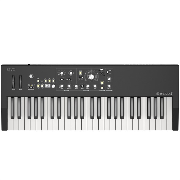 Waldorf STVC Strings Synthesizer & Vocoder【お取り寄せ商品】