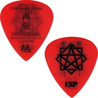 Signature Pick Sereis 柩 Model×10枚セット [PA-NH08-20th]