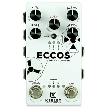 ECCOS V2 DELAY/LOOPER