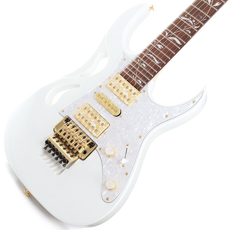 PIA3761 [Paradise in Art Steve Vai new signature model]の商品画像