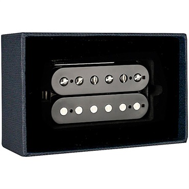 Raw Vintage RV-PAF Classic F-Space