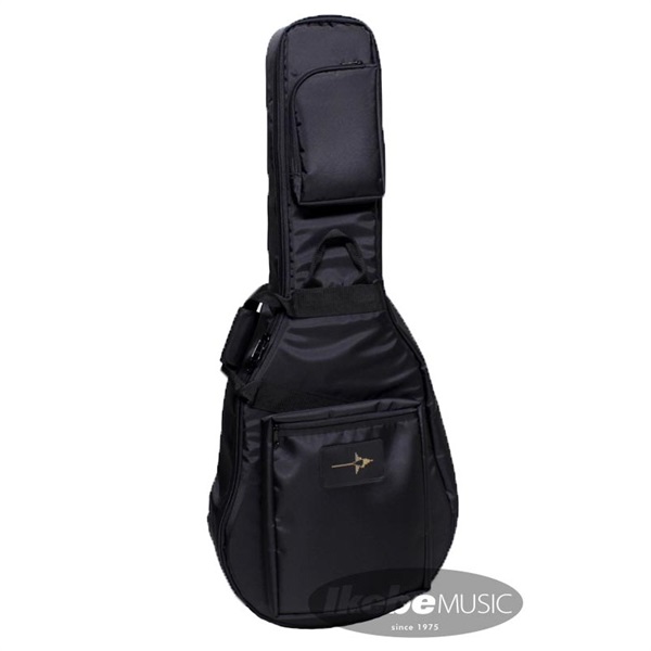 NAZCA 【受注生産品】 Protect Case [Gretsch G6120 Nashville用