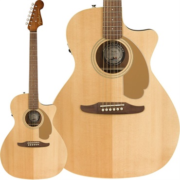 Fender Acoustics Fender Newporter Player (Natural) フェンダー