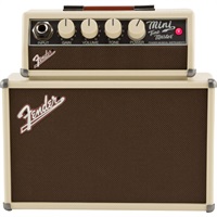 Mini Tonemaster Amplifier
