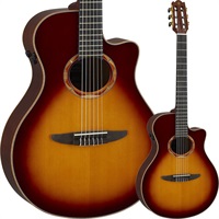 NTX3 BS (Brown Sunburst) [SNTX3BS]