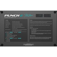 PUNCH 2 (オンライン納品専用) ※代金引換はご利用頂けません。