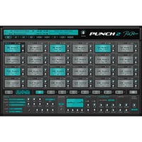 PUNCH 2  (代引不可)(オンライン納品)