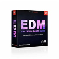 Hitmaker: EDM  (代引不可)(オンライン納品)
