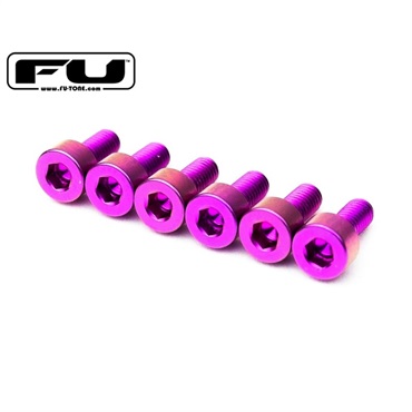 Titanium Saddle Mounting Screw Set (6) - PURPLE