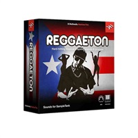 Hitmaker: Reggaeton (代引不可)(オンライン納品)