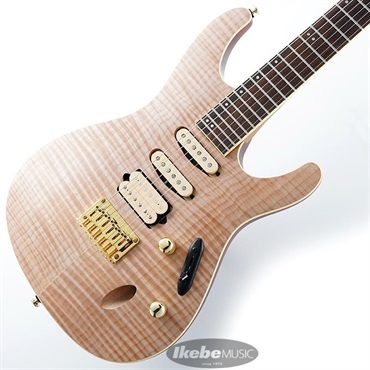 NAZCA Protect Case for Guitar RV Type Black/#8 [ランディV