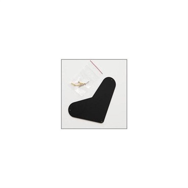 P.R.S. Boomerang Electronics Backplate Recessed (Core)