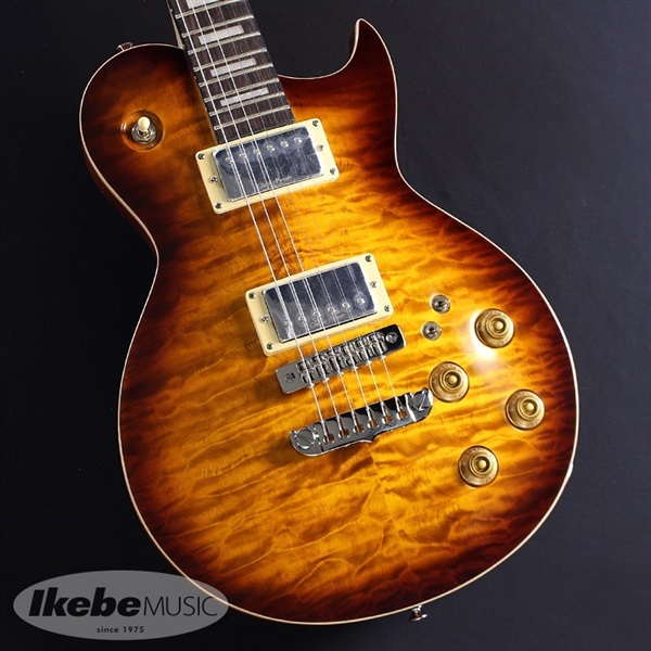 PE-480 (Brown Sunburst)の商品画像