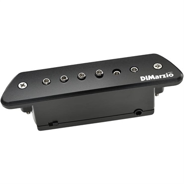 DiMarzio The Black Angel DP234 【安心の正規輸入品】