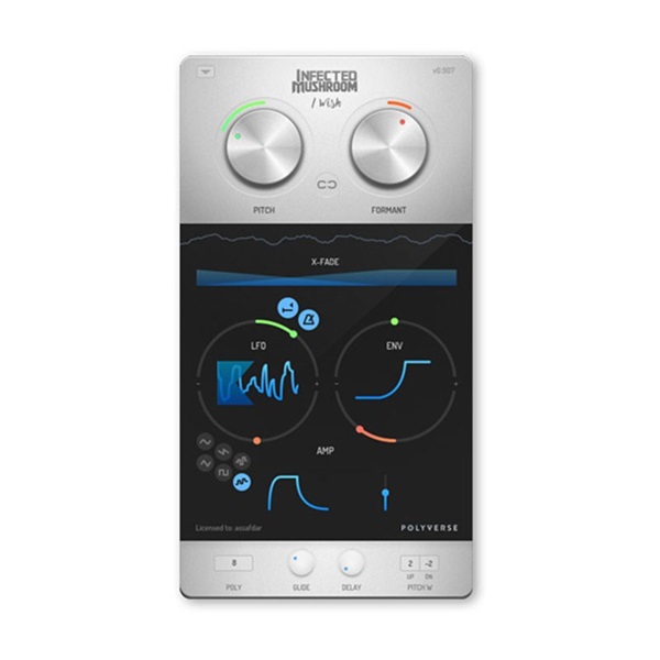 POLYVERSE I WISH(代引不可)(オンライン納品)