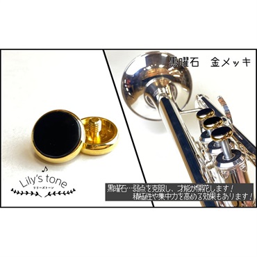 Marcinkiewicz マーシンキウィッツ / アーティスト モデル G10SW