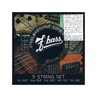 Stainless Steel Exposed-Core Strings [5st]