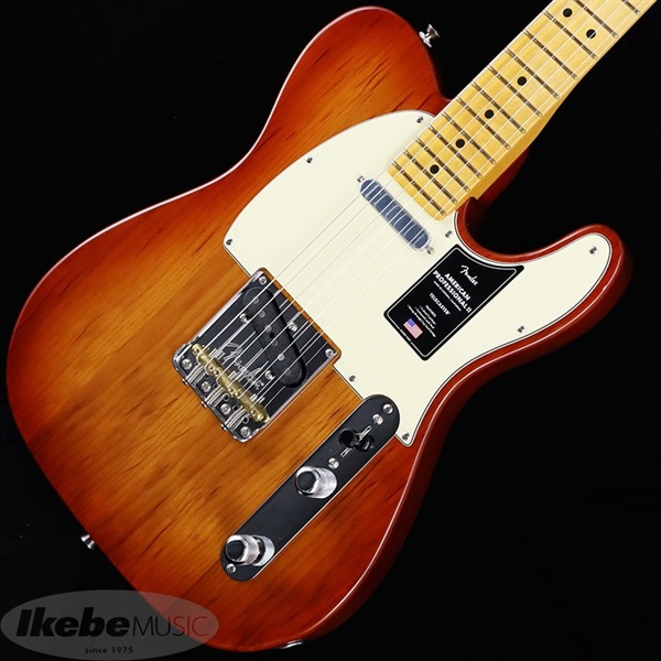 Fender USA American Professional II Telecaster (Dark Night