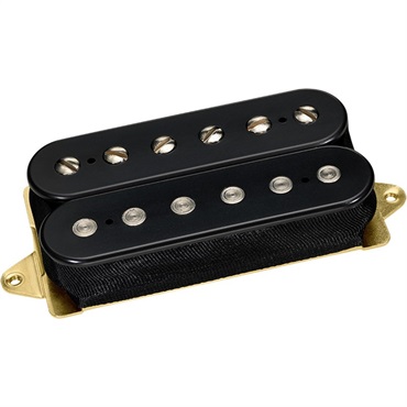 EJ CUSTOM BRIDGE [DP212](Black/Standard-Spaced)【安心の正規輸入品】