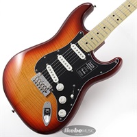 Player Stratocaster Plus Top (Aged Cherry Burst/Maple) [Made In Mexico]