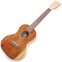 FGN Acoustic Tenor FUS-TT フジゲン