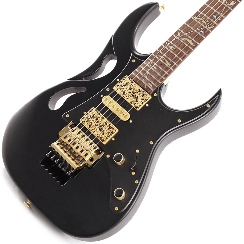 PIA3761-XB [Paradise in Art Steve Vai new signature model]の商品画像