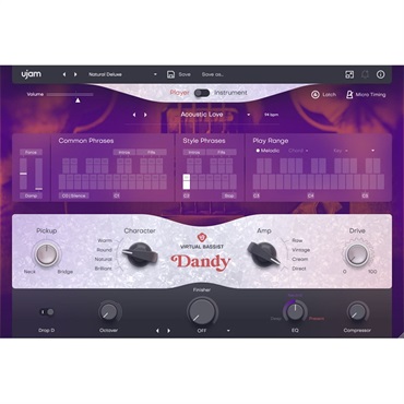 UJAM 【ユージャムスプリングセール！】Virtual Bassist DANDY(ユージャム)(ヴァーチャルベーシスト)(オンライン納品)(2時間以内に納品)