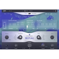 【UJAM Golden Group Buy！(～5/7)】Virtual Bassist ROYAL 2(オンライン納品)(代引不可)