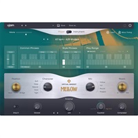 【ユージャム International Music Day Sale！】Virtual Bassist MELLOW 2(ユージャム)(ヴァーチャルベーシスト)(オンライン納品)(2時間以内に納品)