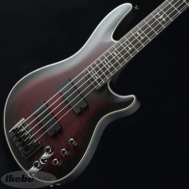 SCHECTER Hellraiser Extreme-5 [AD-HR-EX-BASS-5] (CRBS)