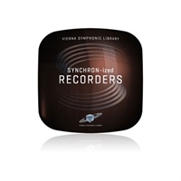SYNCHRON-IZED RECORDERS【簡易パッケージ販売】