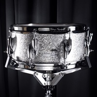 VT-1306SDW VSG [Vintage Series 13×6 / Vintage Silver Glitter]