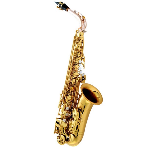 YAMAHA 【限定モデル】 アルトサックス ヤマハ YAS-875EXNMP |イケベ
