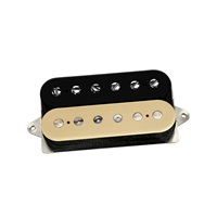 Steve Lukather Signature Transition Neck [DP254F] (BlackCream/F-Spaced) 【安心の正規輸入品】