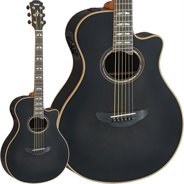品質が APX1200II YAMAHA (Translucent 【お [SAPX12002TBL] Black) ギター
