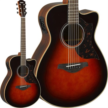 AC1R (Tobacco Brown Sunburst) [SAC1RTBS] 【お取り寄せ】