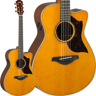 YAMAHA LL16M ARE (Natural) ※プラチナムディーラー限定モデル ヤマハ
