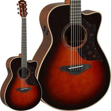 YAMAHA AC3R ARE (Tobacco Brown Sunburst) [SAC3RTBS] 【お