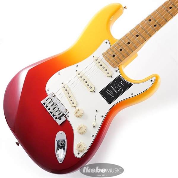 Player Plus Stratocaster (Tequila Sunrise/Maple)の商品画像