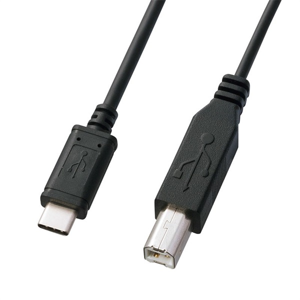 SANWA SUPPLY 【創業50周年大決算SALE】KU-CB30 【3.0m】(USB2.0 Type C-Bケーブル)(サンワサプライ)