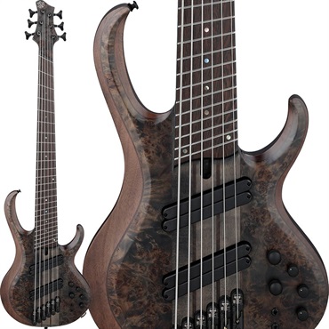 Bass Workshop BTB806MS-TGF [SPOT MODEL]