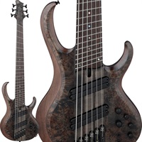 Bass Workshop BTB806MS-TGF [SPOT MODEL] 【値上げ前旧価格品】
